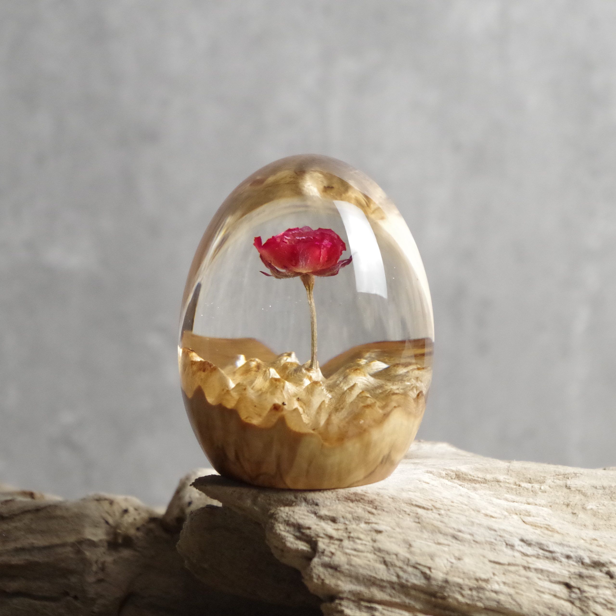 Rosalia Flame