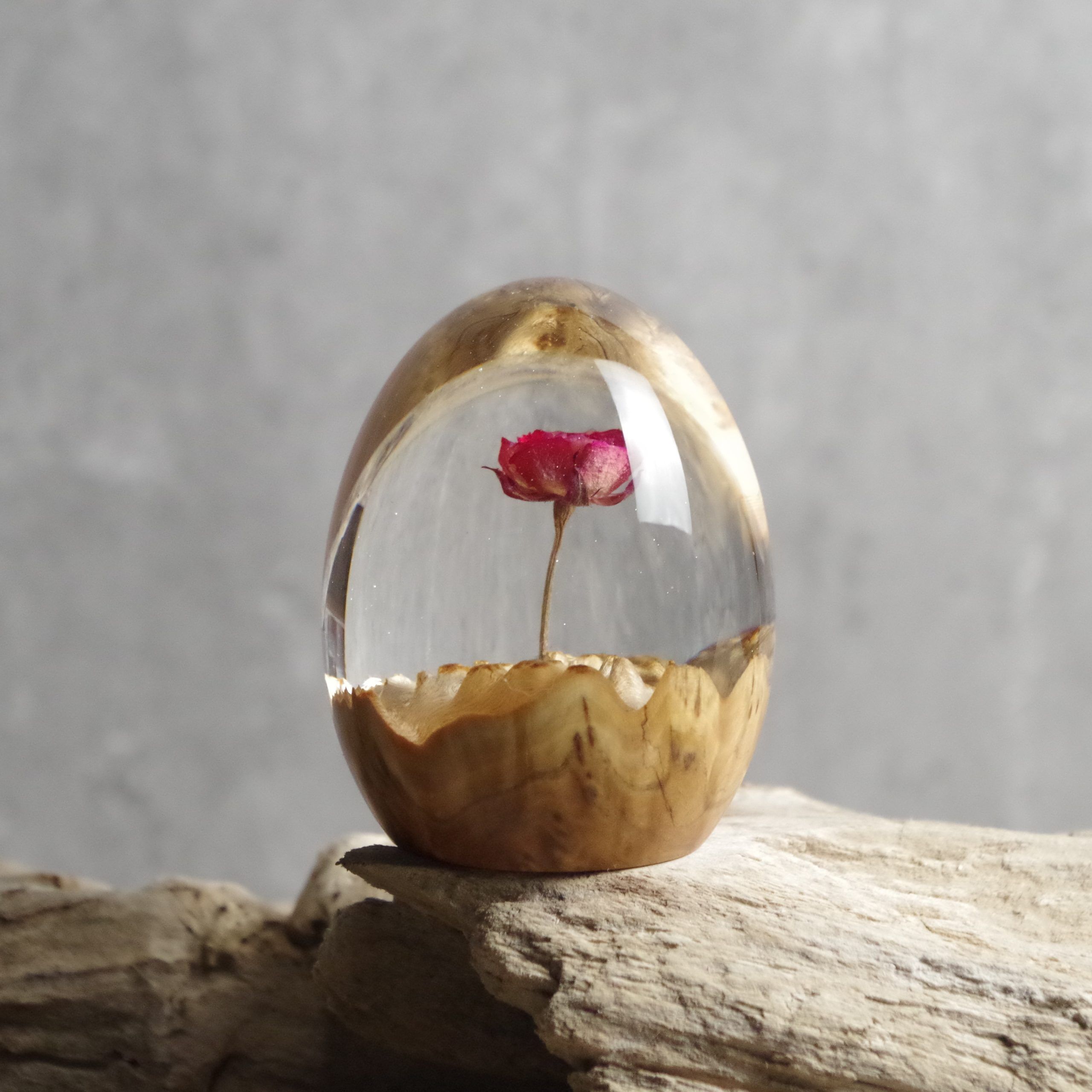 Rosalia Flame - Image 3