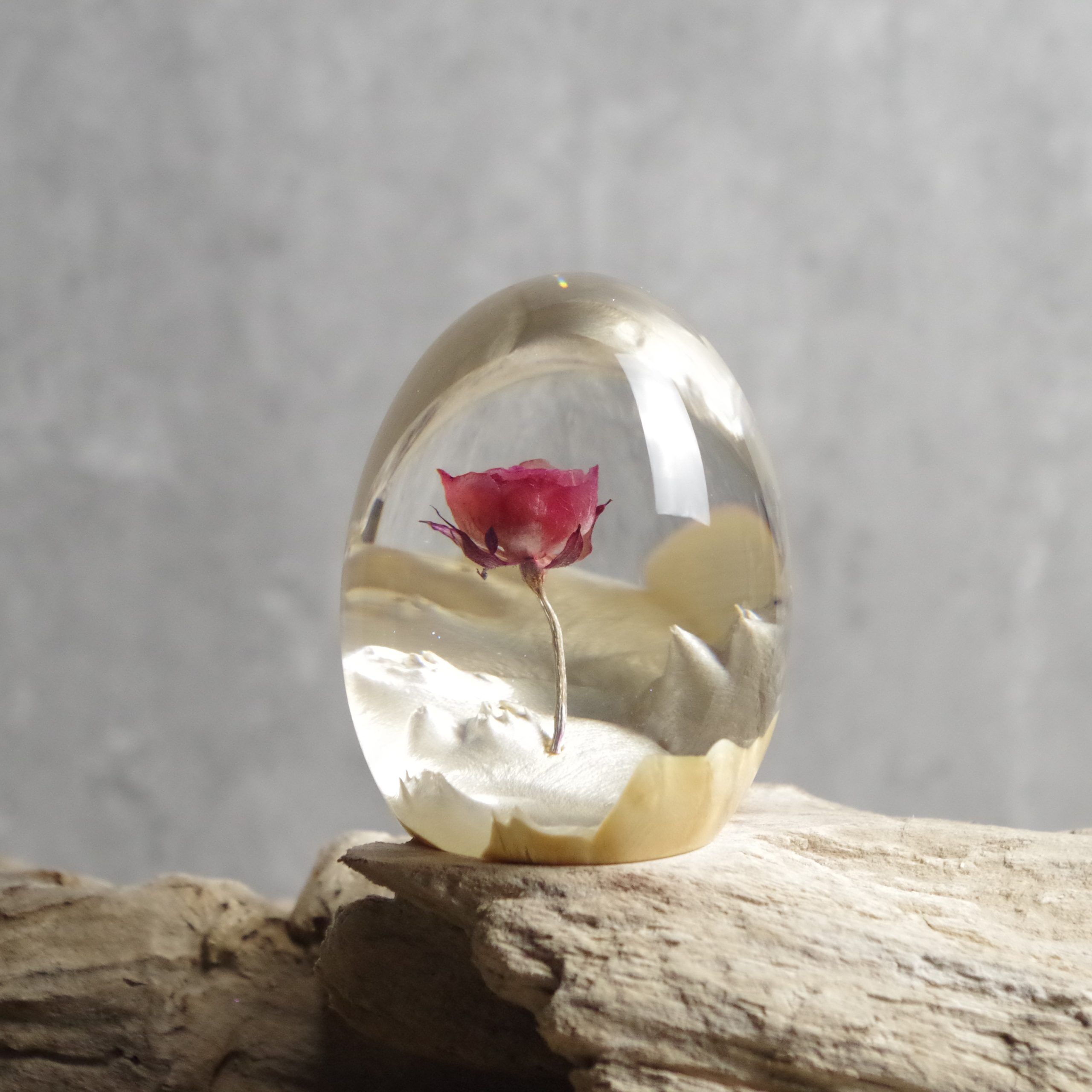 Rose Drift