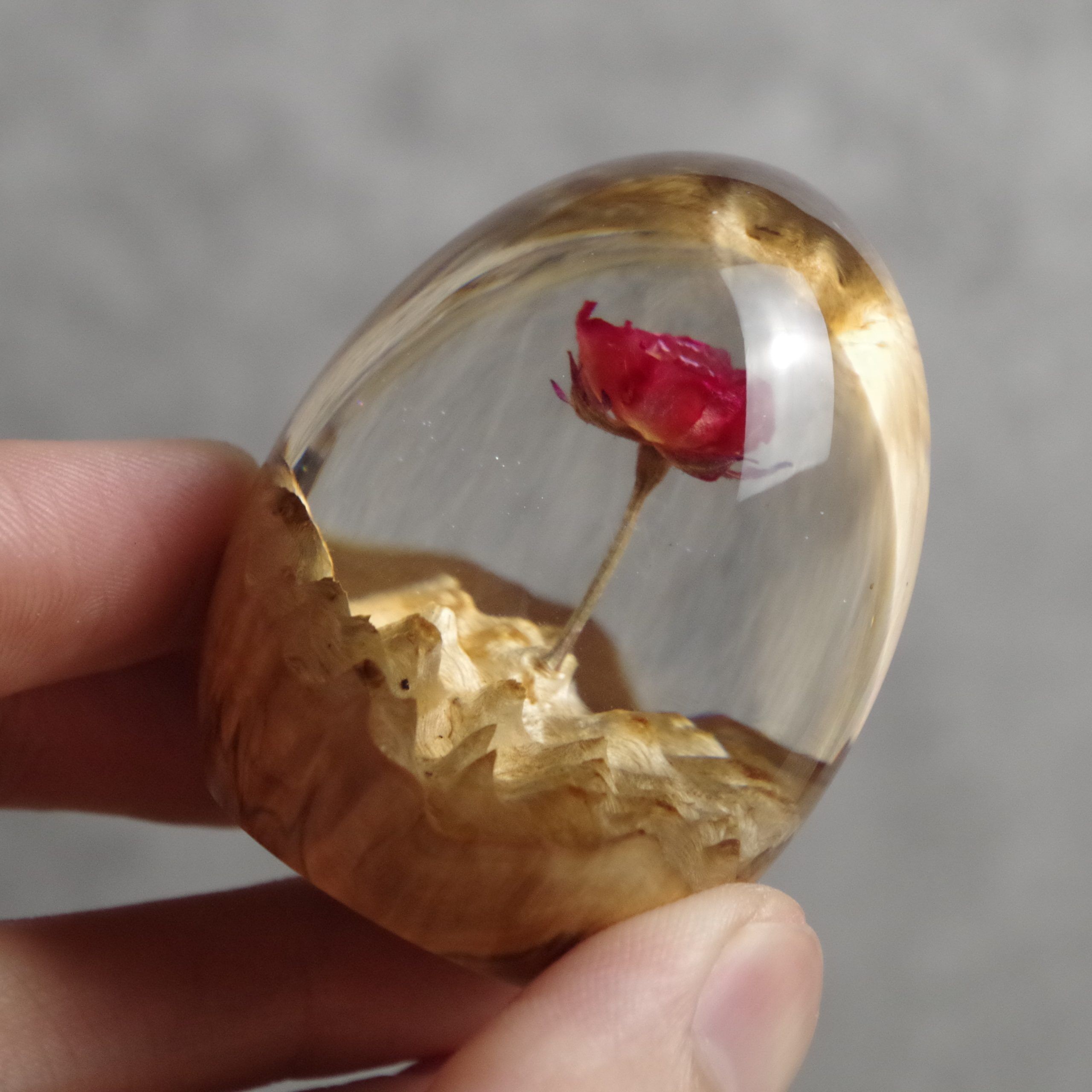 Rosalia Flame - Image 2