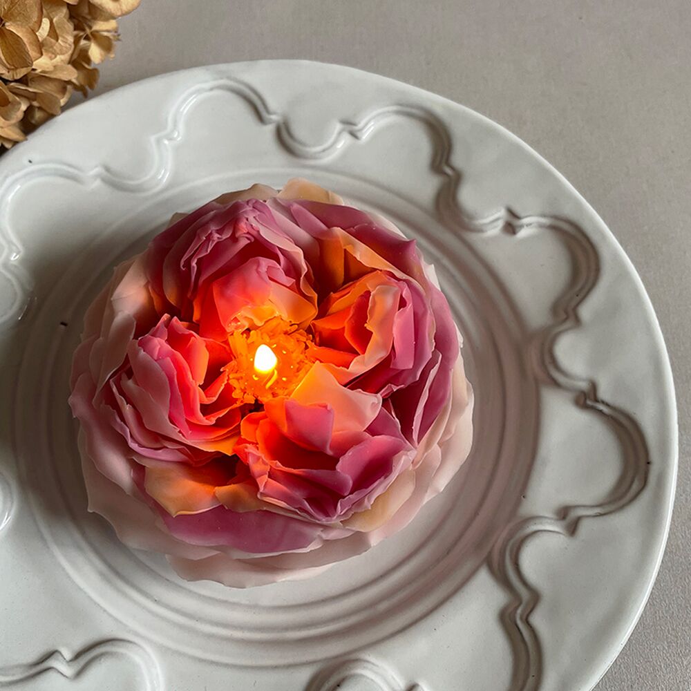 ROSE POMPADOUR - Image 2
