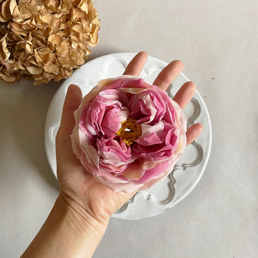 ROSE POMPADOUR - Image 3