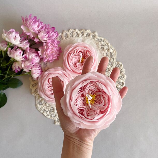 OLIVIA ROSE - Image 4