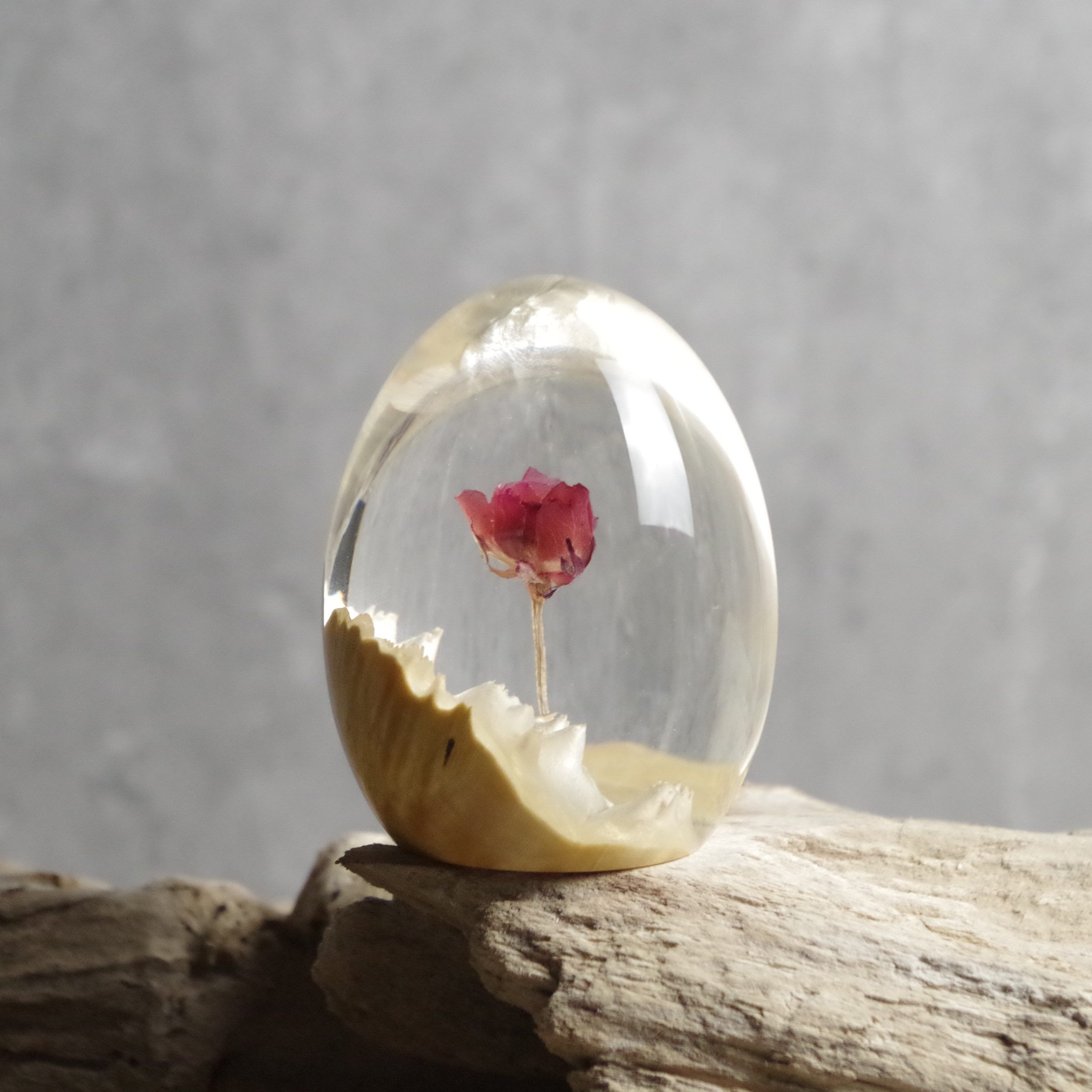 Rose Drift - Image 3