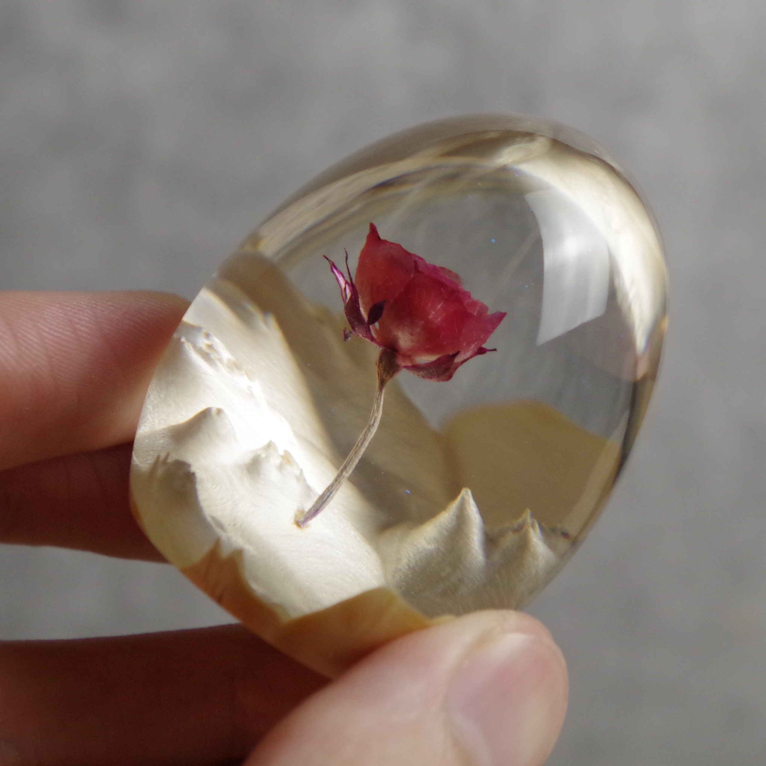 Rose Drift - Image 2